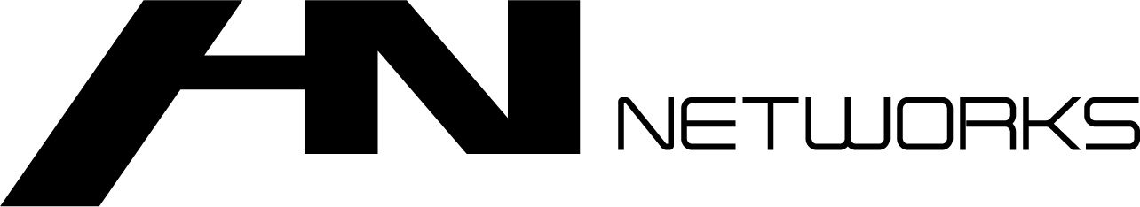 HNNetworks 로고 - IT 솔루션 전문기업